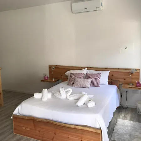 Ninho Do Monte 아파트 Ponta Delgada